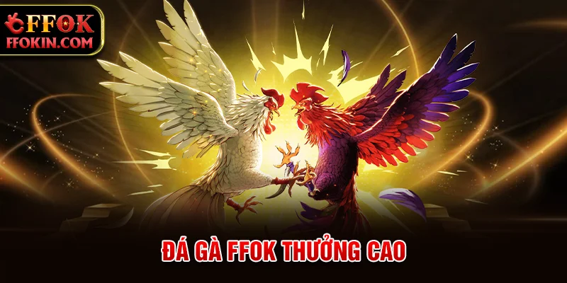 Đá gà FFOK thưởng cao